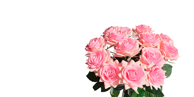 promo-banner-image