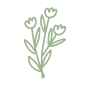 pasion-acacia pasion-acacia